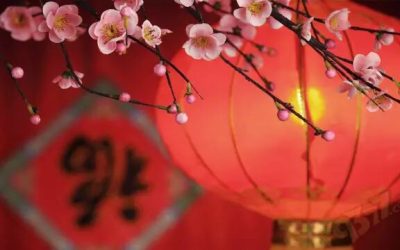 除夕守岁,人间安暖|🧨共待新春启新章